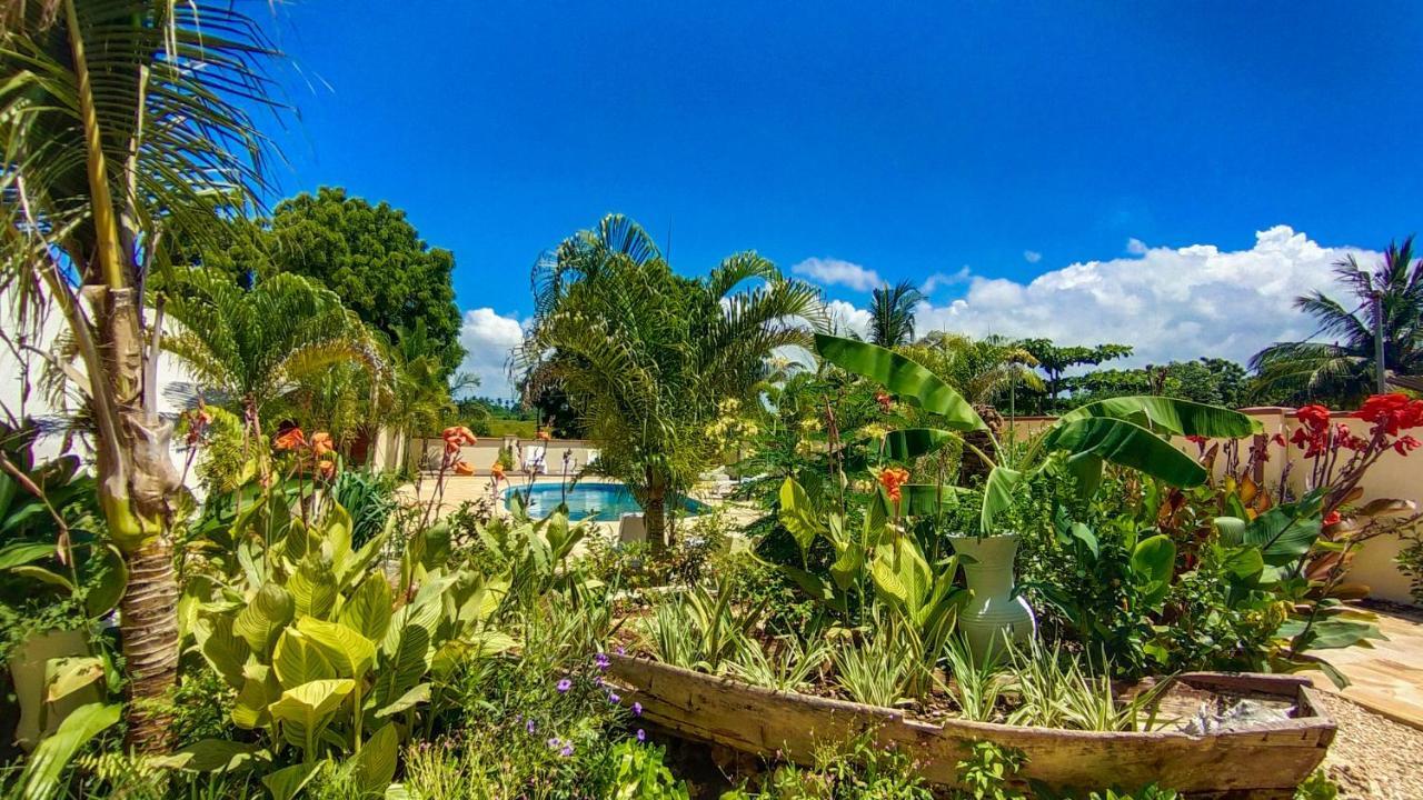 Golden Palm Boutique Отель 3*